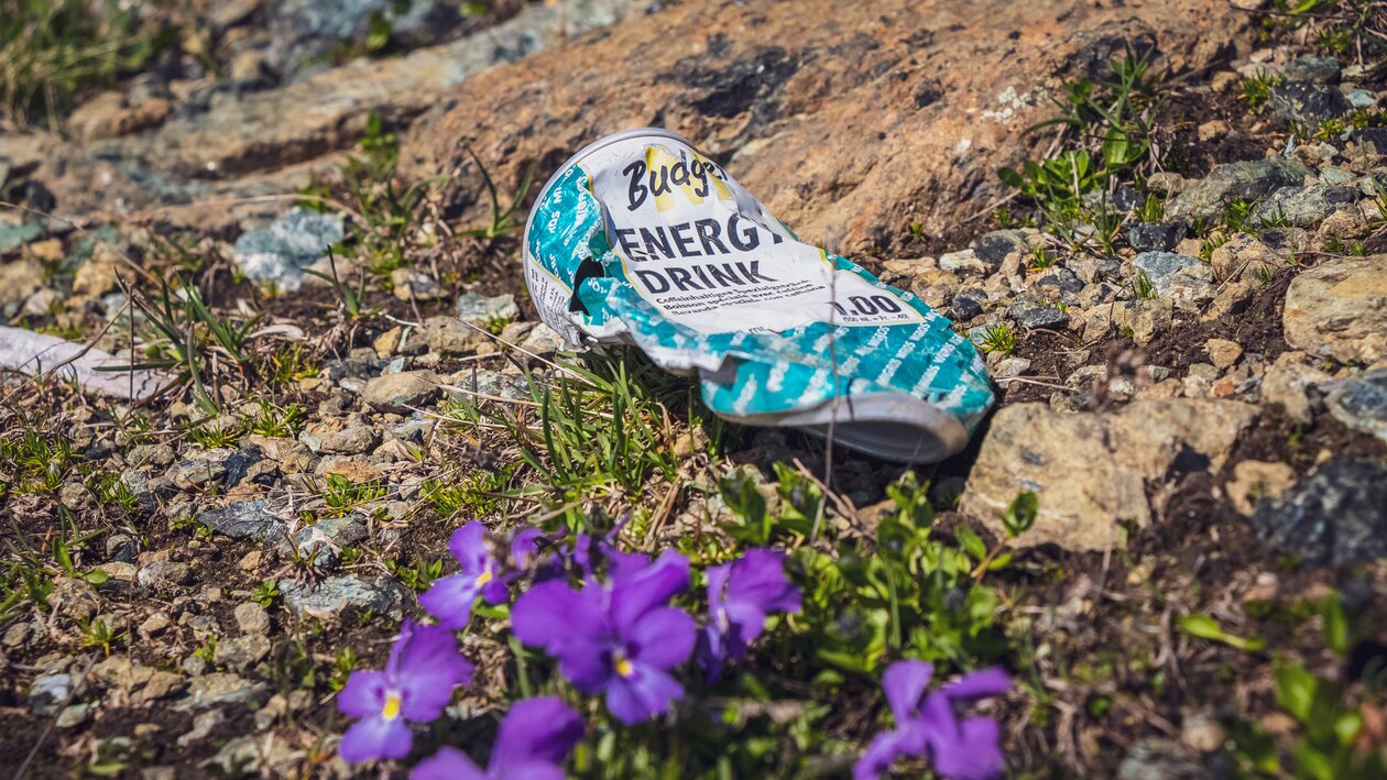 EIne Getränkedose liegt auf der Wiese neben violetten Blumen.  | © Davos Klosters Mountains