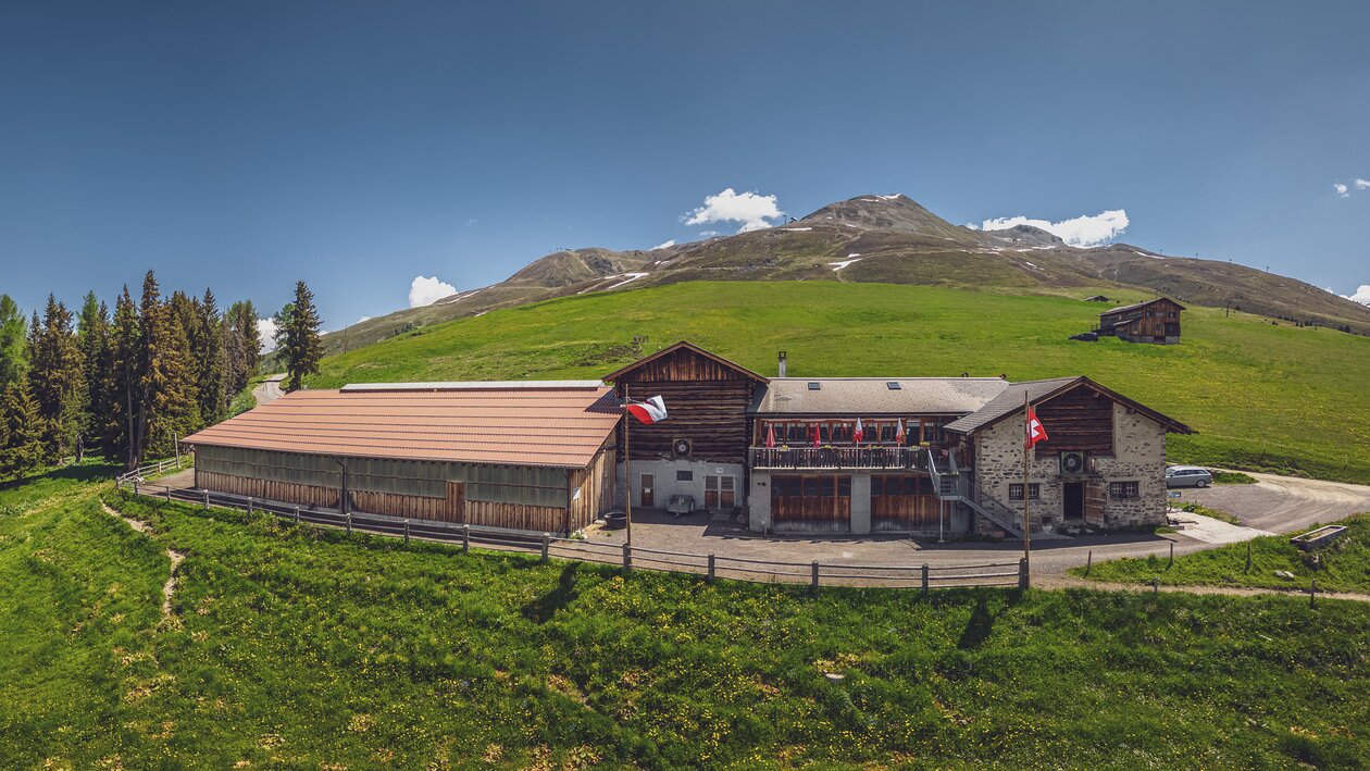 Blick auf die Clavadeler Alp, die am Hang des Jakobshorns liegt. | © Davos Klosters Mountains