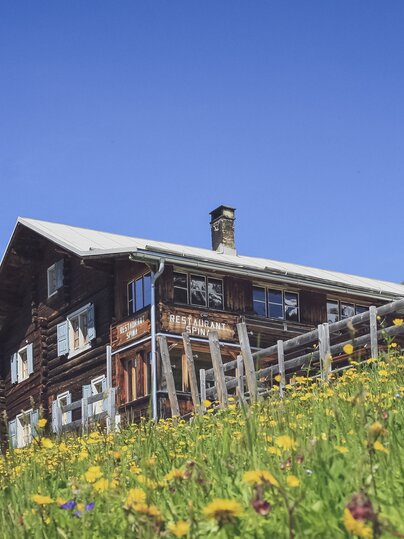 Sommerliches Alpenpanorama beim Restaurant Spina in Davos. | © Davos Klosters Mountains