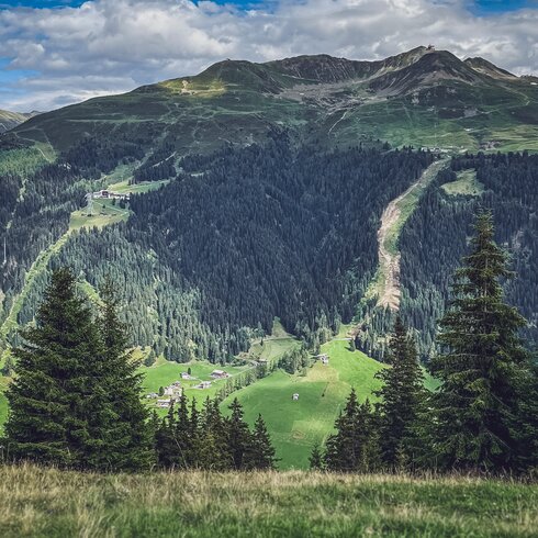 Blick von der gegenüberliegenden Seite auf die neue Talabfahrt des Skigebiets Jakobshorn im Sommer. | © Davos Klosters Mountains