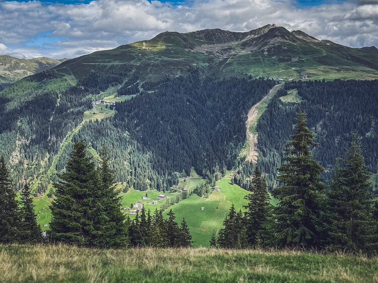Blick von der gegenüberliegenden Seite auf die neue Talabfahrt des Skigebiets Jakobshorn im Sommer. | © Davos Klosters Mountains