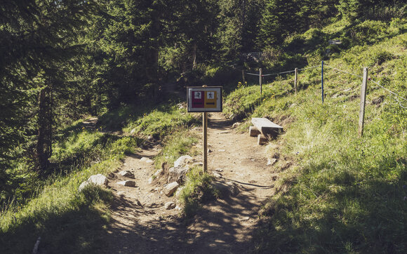 Ein Schild markiert die Verzweiung an der sich Biketrail und Wanderweg auf dem Rinerhorn teilen. | © Davos Klosters Mountains 