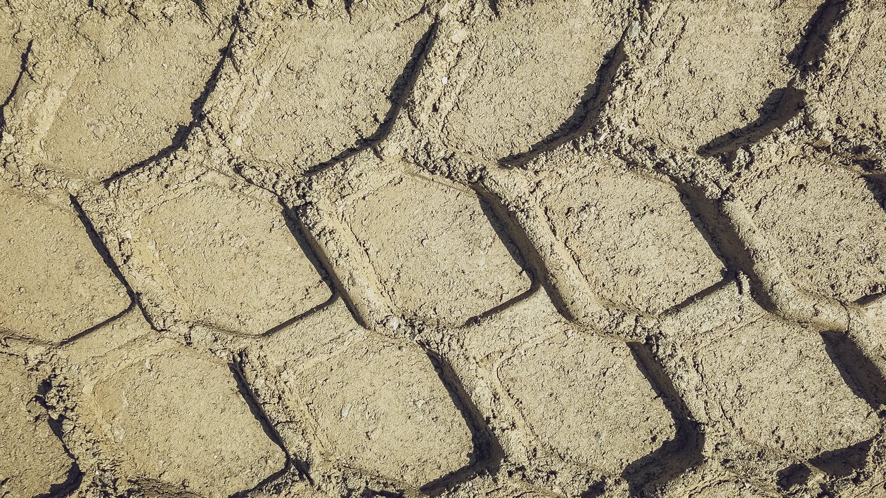 Profilspuren im Sand  | © Davos Klosters Mountains 