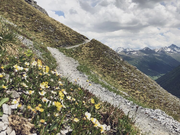 Der Panoramaweg führt den steinigen Hang entlang in Richtung Höhenweg Parsenn.  | © Davos Klosters Mountains
