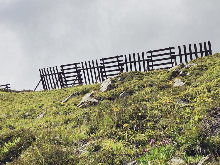 Am Hang des Schiahors ist gegen den Himmel die Lawinenverbauung erkennbar.   | © Davos Klosters Mountains