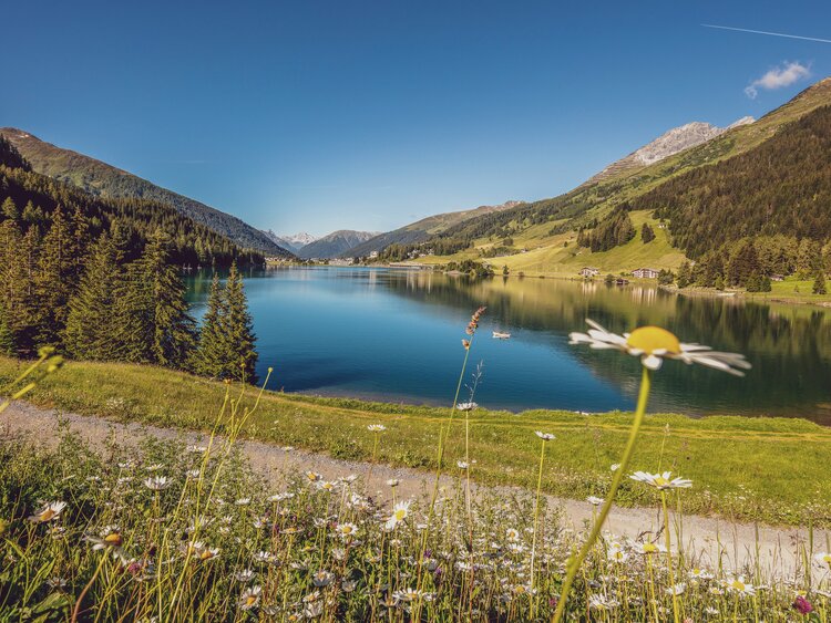 Blick auf den Davoser See und zum Dorf Davos im Sommer.  | © Andrea Badrutt