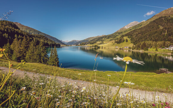 Blick auf den Davoser See und zum Dorf Davos im Sommer.  | © Andrea Badrutt