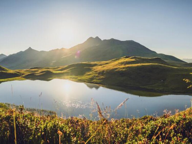 In grünen Hügeln eingebettet liegt der kleine Bergsee Grünsee. | © Davos Klosters Mountains