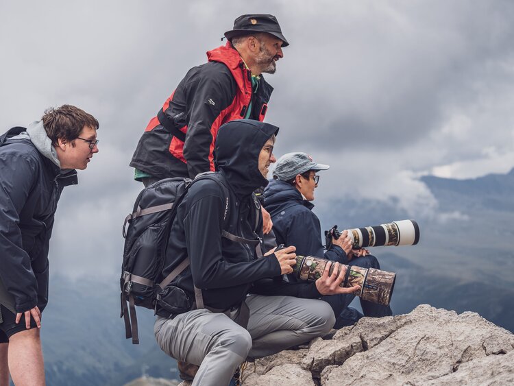 Eine Gruppe zwei Personen mit Kameras und zwei ohne sitzen hinter einem Stein für eine Tierbeobachtung. | © Davos Klosters Mountains