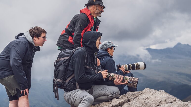 Eine Gruppe zwei Personen mit Kameras und zwei ohne sitzen hinter einem Stein für eine Tierbeobachtung. | © Davos Klosters Mountains