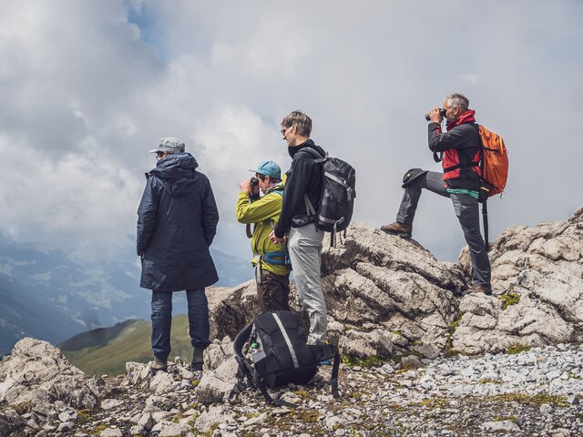Eine Gruppe mit zwei Guides von Pur erleben beobachten von Auge und mit Ferngläsern die Steinböcke auf Parsenn. | © Davos Klosters Mountains
