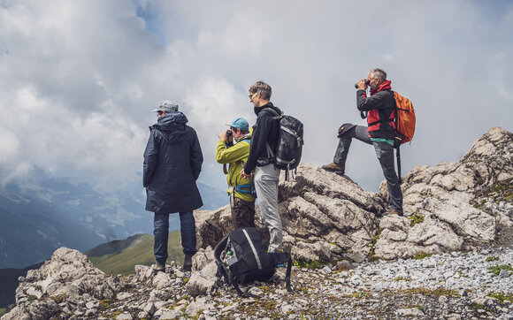 Eine Gruppe mit zwei Guides von Pur erleben beobachten von Auge und mit Ferngläsern die Steinböcke auf Parsenn. | © Davos Klosters Mountains