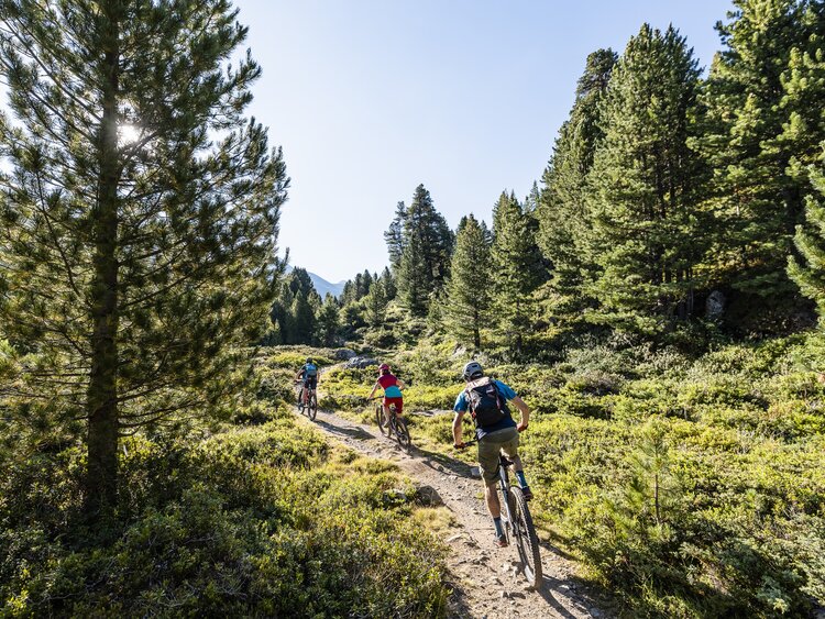 Zwei Eltern und ein Kind fahren mit dem Mountainbike auf einem Trail, der durch den Wald führt. | © Destination Davos Klosters | Martin Bissig