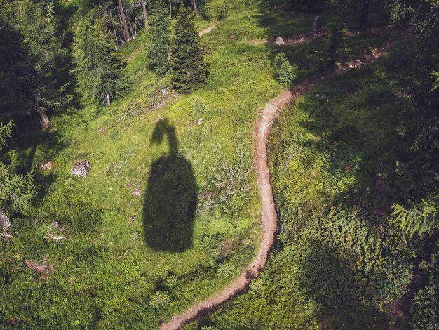 Auf einer Wiese neben einem Trail ist der Schatten der Jakobshorn Gondel ersichtlich. | © Davos Klosters Mountains
