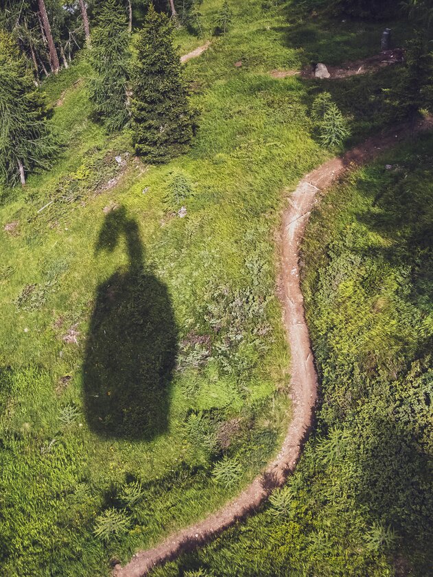 Auf einer Wiese neben einem Trail ist der Schatten der Jakobshorn Gondel ersichtlich. | © Davos Klosters Mountains