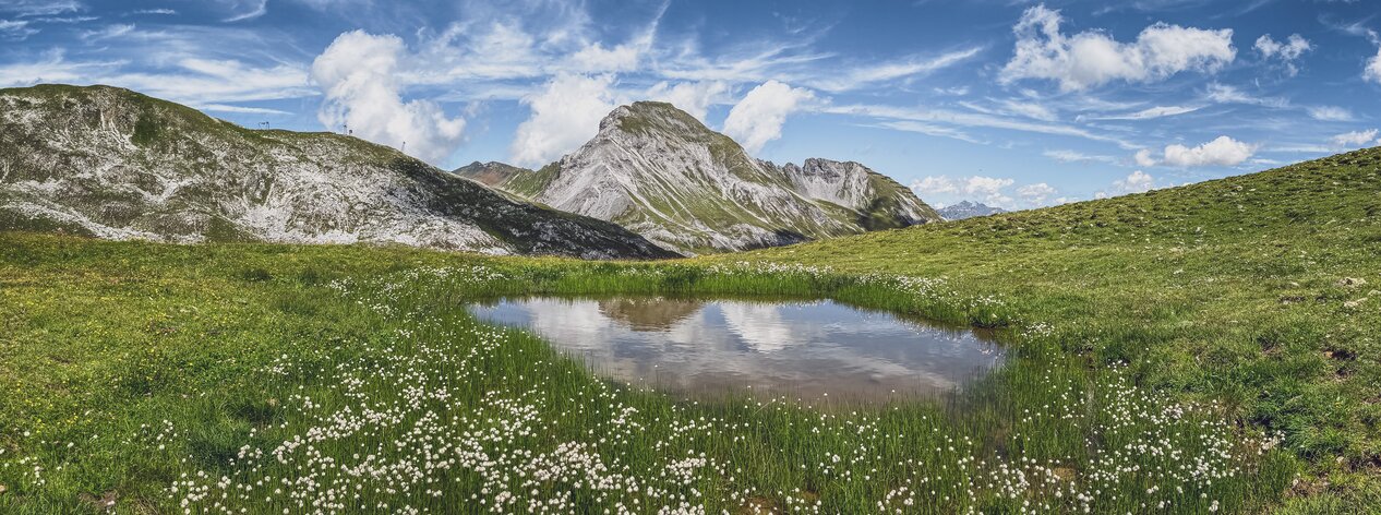 Kleiner See umringt von saftig, grüner Weide mit Bergen im Hintergrund | © Davos Klosters Mountains 