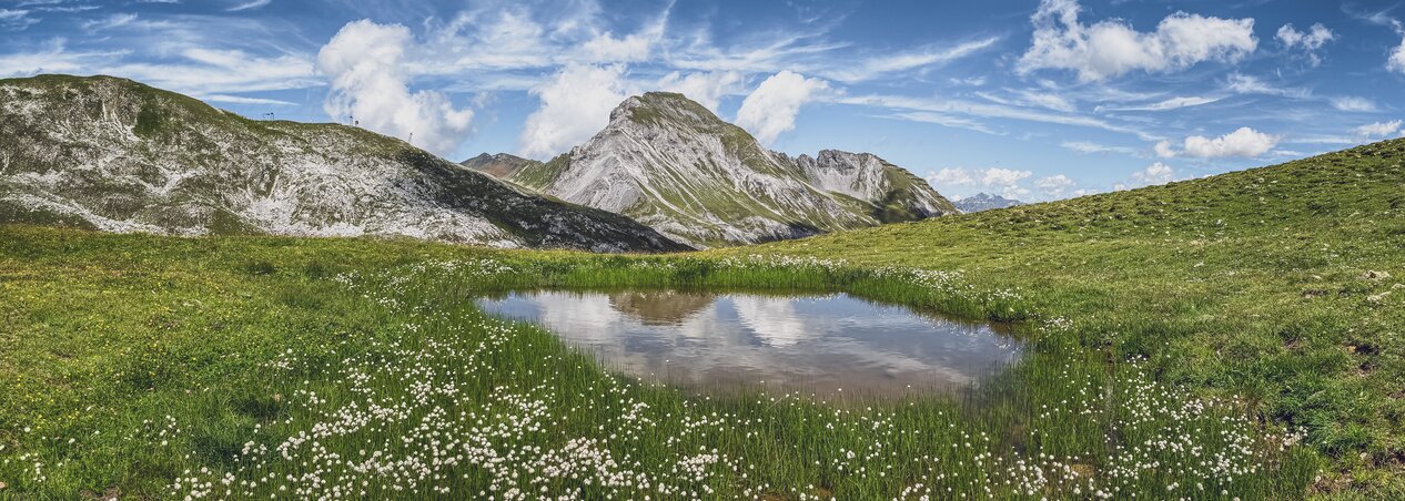 Kleiner See umringt von saftig, grüner Weide mit Bergen im Hintergrund | © Davos Klosters Mountains Small lake surrounded by juicy, green field with mountains in the background | © Davos Klosters Mountains