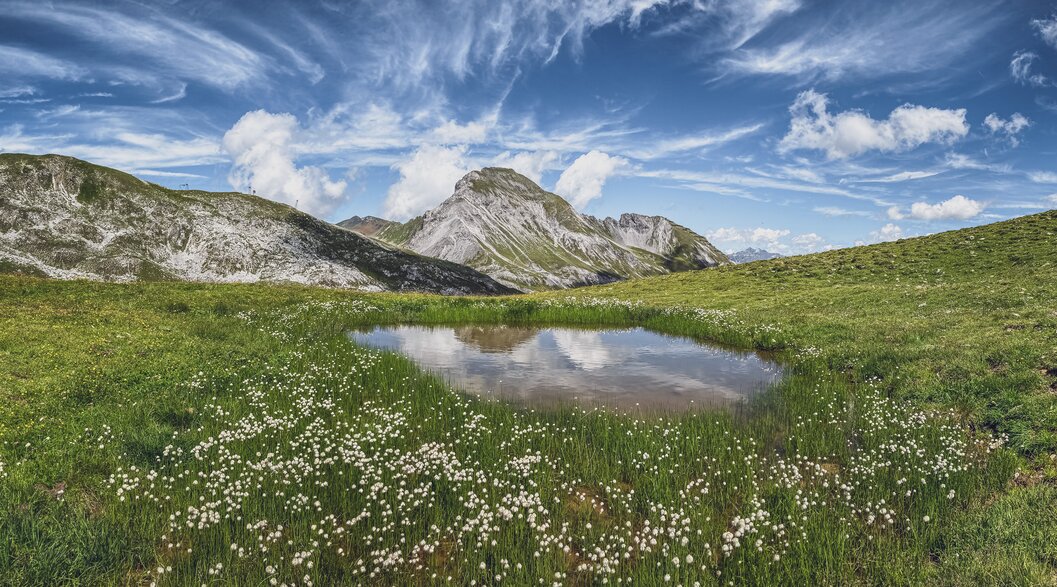 Kleiner See umringt von saftig, grüner Weide mit Bergen im Hintergrund | © Davos Klosters Mountains Small lake surrounded by juicy, green field with mountains in the background | © Davos Klosters Mountains