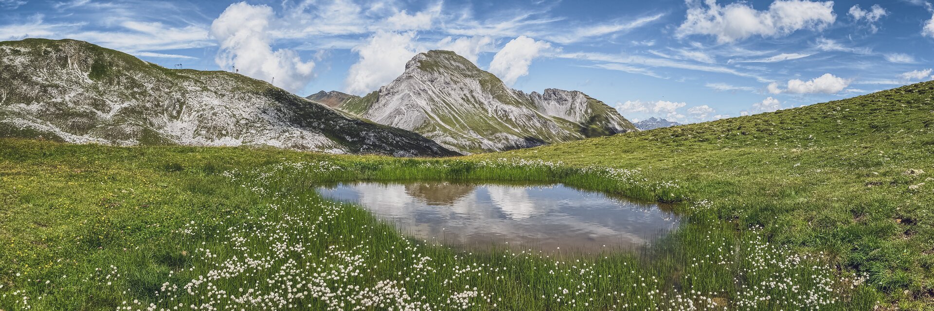 Kleiner See umringt von saftig, grüner Weide mit Bergen im Hintergrund | © Davos Klosters Mountains 