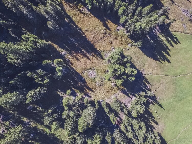 Drohnenaufnahme von der Moorwiese am Fusse vom Jakobshorn | © Davos Klosters Mountains