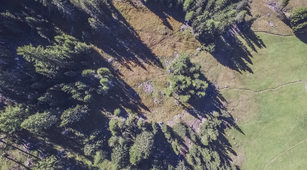 Drohnenaufnahme von der Moorwiese am Fusse vom Jakobshorn | © Davos Klosters Mountains Drohnenaufnahme von der Moorwiese am Fusse vom Jakobshorn | © Davos Klosters Mountains