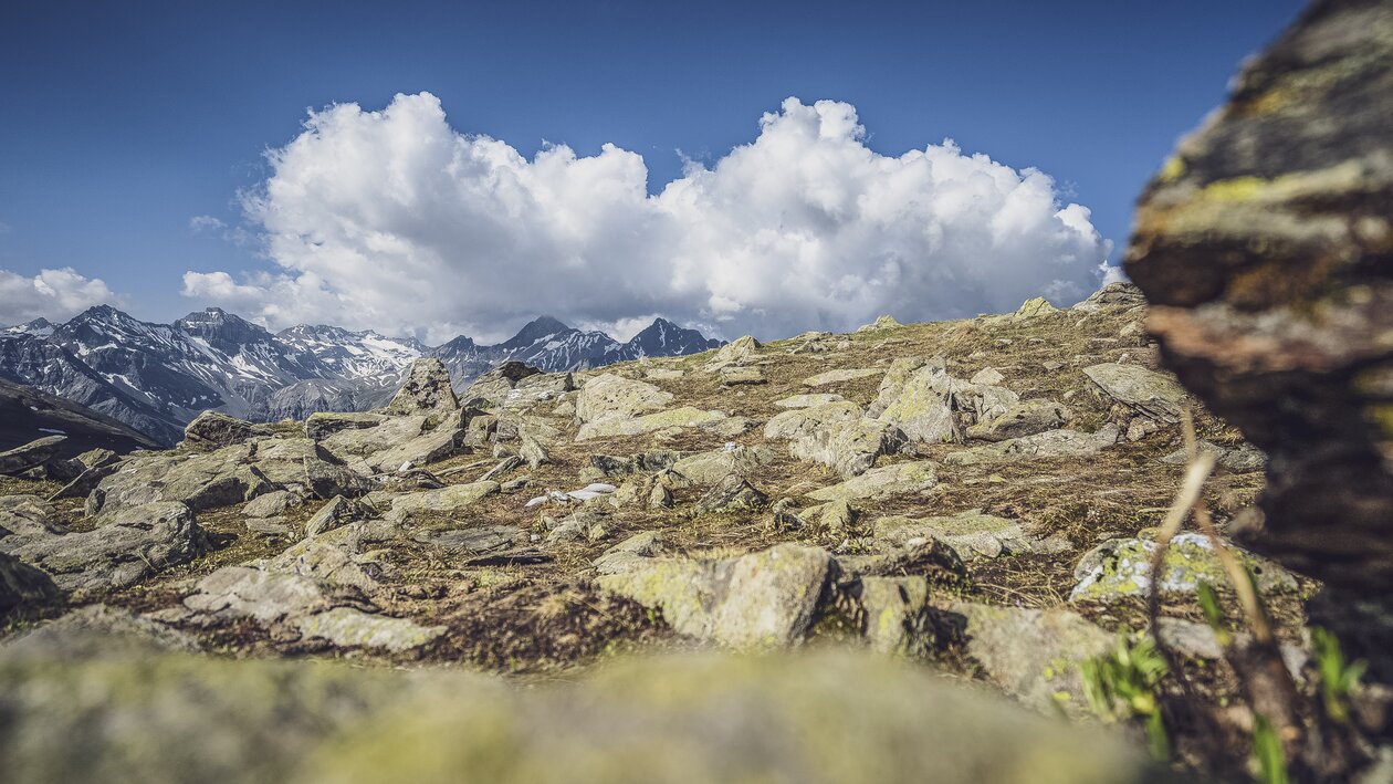 Steiniges Bergpanorama mit Aussicht zum Hochducan. | © Davos Klosters Mountains