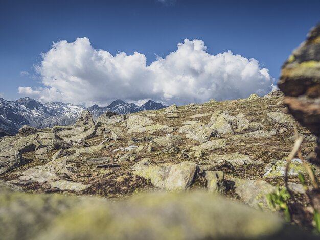 Steiniges Bergpanorama mit Aussicht zum Hochducan. | © Davos Klosters Mountains