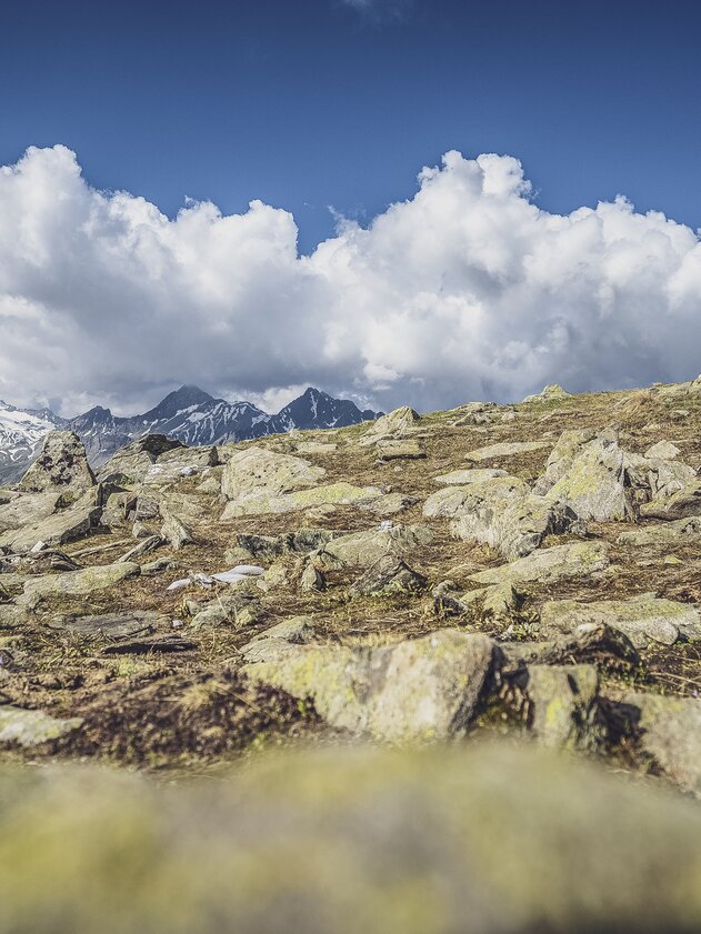 Bergpanorama Blick Hochducan | © Davos Klosters Mountains Steiniges Bergpanorama mit Aussicht zum Hochducan. | © Davos Klosters Mountains