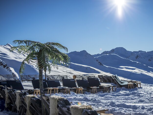 Sunchairs and palm trees at the Jatzhütte with view into the Sertigtal. | © Davos Klosters Mountains