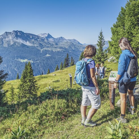 Wandergrupppe geniesst eine der vielfältigen Wanderungen auf Madrisa bei klarem, blauen Himmel. | © Davos Klosters Mountains