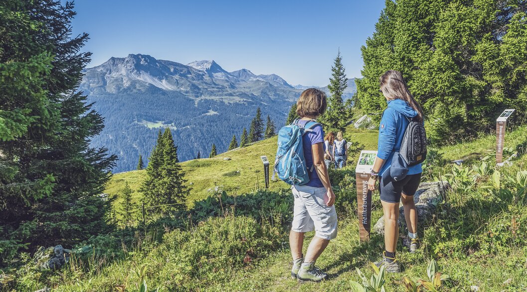 Wandergrupppe geniesst eine der vielfältigen Wanderungen auf Madrisa bei klarem, blauen Himmel. | © Davos Klosters Mountains
