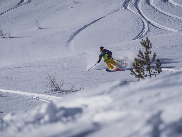 Skifahrer geniesst gesicherte Freeride-Abfahrtsroute auf unberührter Schneedecke. | © Davos Klosters Mountains