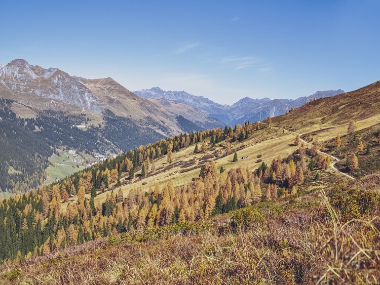 Herbstliches Bergpanorama vom Abirügg. | © Davos Klosters Mountains