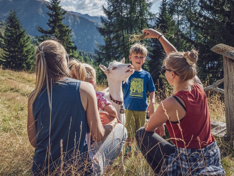 Familie füttert eine Geiss mit Gras  | © Davos Klosters Mountains 