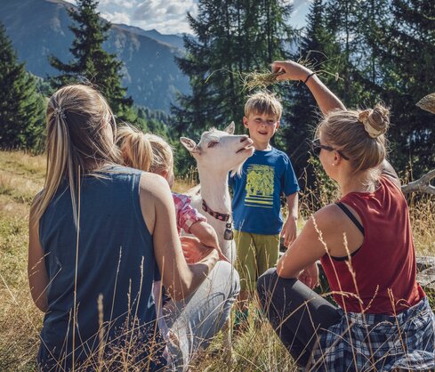 Familie füttert eine Geiss mit Gras  | © Davos Klosters Mountains 