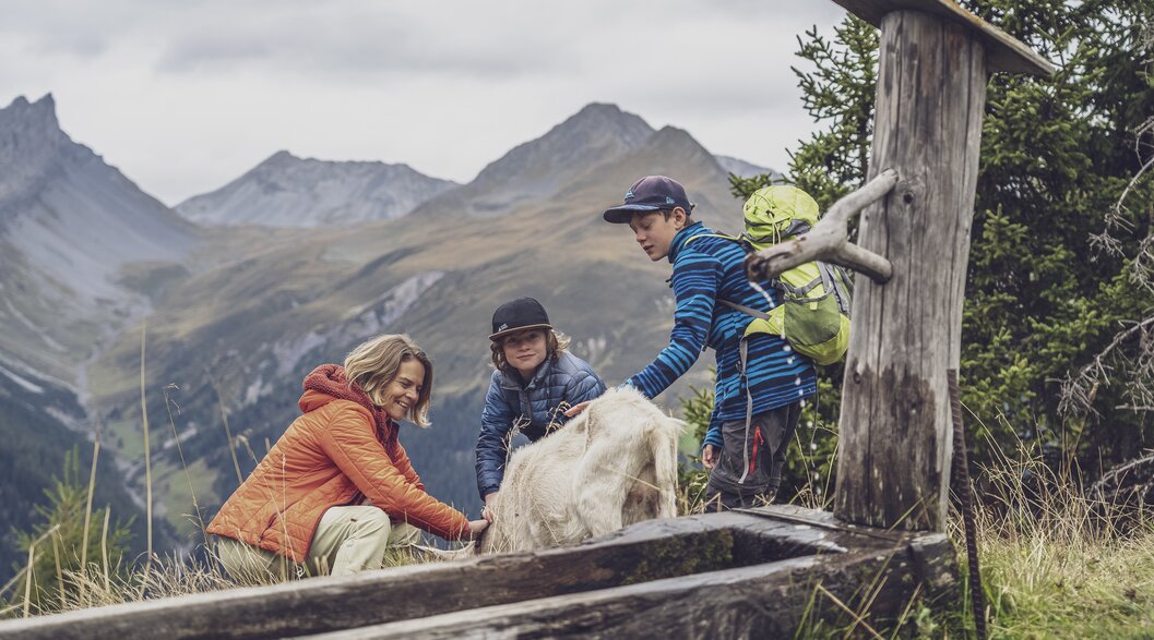 Familie im Streichelzoo Rinerhorn | © Davos Klosters Mountains Familie streichelt Bergziege im Streichelzoo beim Brunnen. | © Davos Klosters Mountains