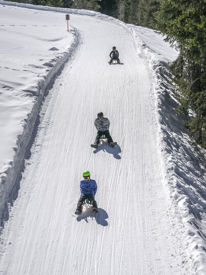 Gruppe junge Schlittler sausen die präparierte Schlittelpiste hinunter. | © Davos Klosters Mountains