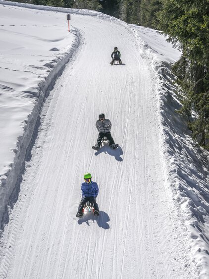 Gruppe junge Schlittler sausen die präparierte Schlittelpiste hinunter. | © Davos Klosters Mountains