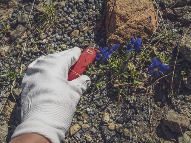 Hand mit Handschuh hebt ein Feuerzeug vom Boden auf | © Davos Klosters Mountains Hand mit Handschuh hebt ein Feuerzeug vom Boden auf | © Davos Klosters Mountains