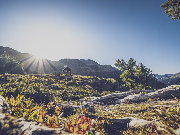 Ein Biker geniesst die Abfahrt im Flüelatal bei Abendsonne.  | © Davos Klosters Mountains