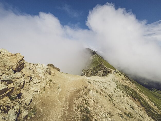 Trailtoleranz ist wichtig! | © Davos Klosters Mountains