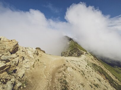 Trailtoleranz ist wichtig! | © Davos Klosters Mountains