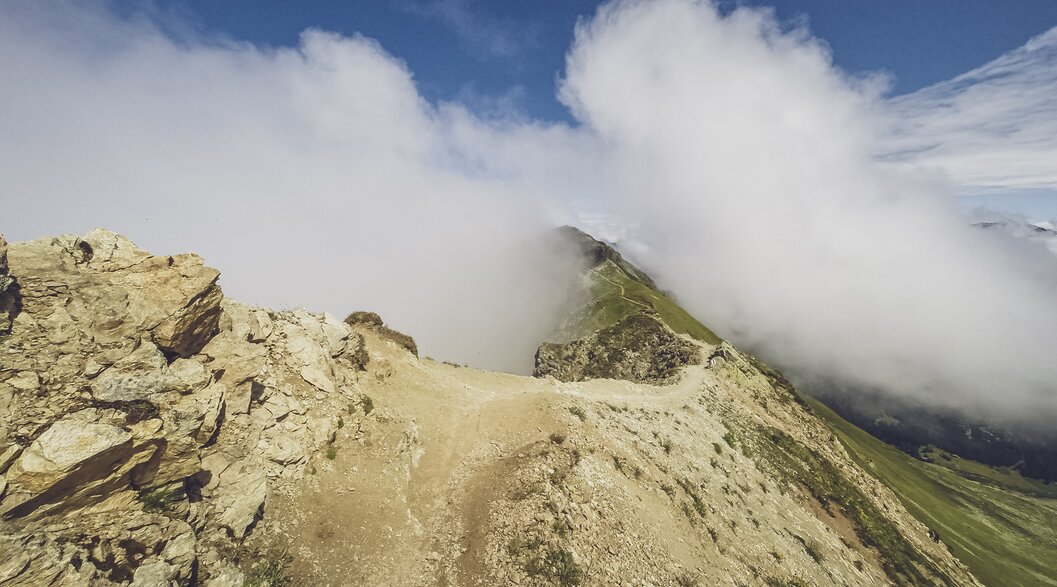 Trailtoleranz ist wichtig! | © Davos Klosters Mountains Trailtoleranz ist wichtig! | © Davos Klosters Mountains