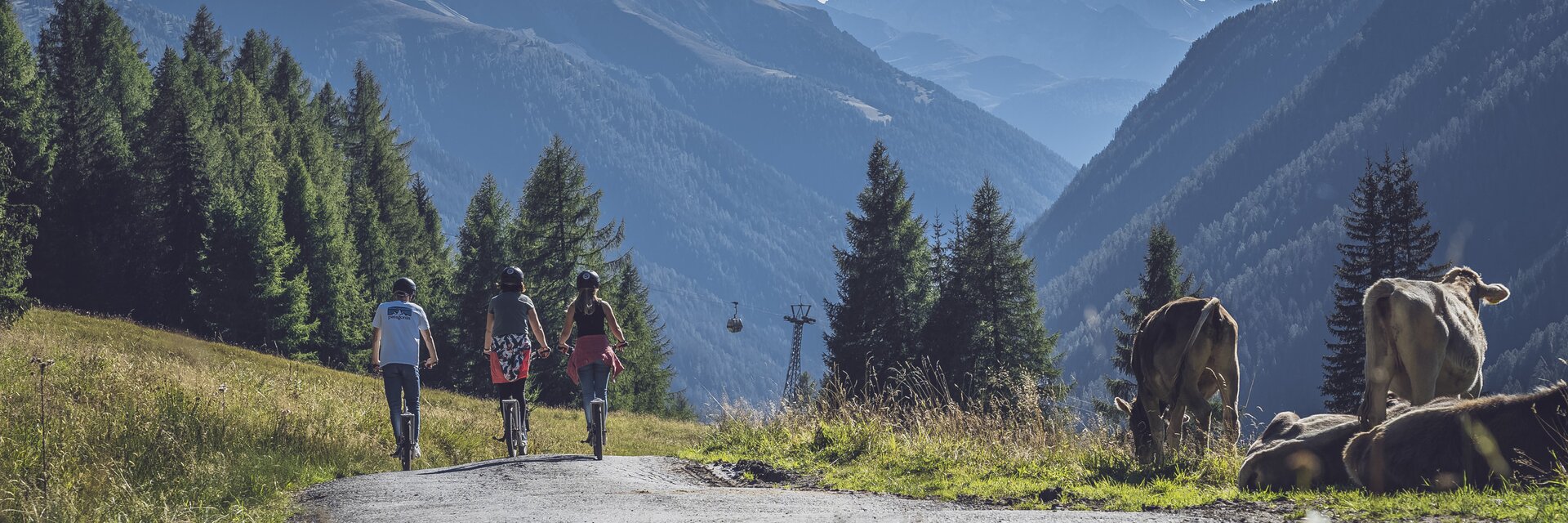 Trottinett Abfahrt Rinerhorn Rinder | © Davos Klosters Mountains Drei Trottinettfahrer geniessen die Abfahrt auf dem Rinerhorn, der Weg führt vorbei an einer Gruppe Rindern und dann in Richtung Tal. | © Davos Klosters Mountains