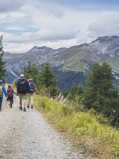 Eine Familie geht auf einem breiten Schotterweg der an gelben Wiesen und grünen Lerchen vorbei bis zum Jatzmeder bei der Bergstation Rinerhorn führt.  | © Davos Klosters Mountains