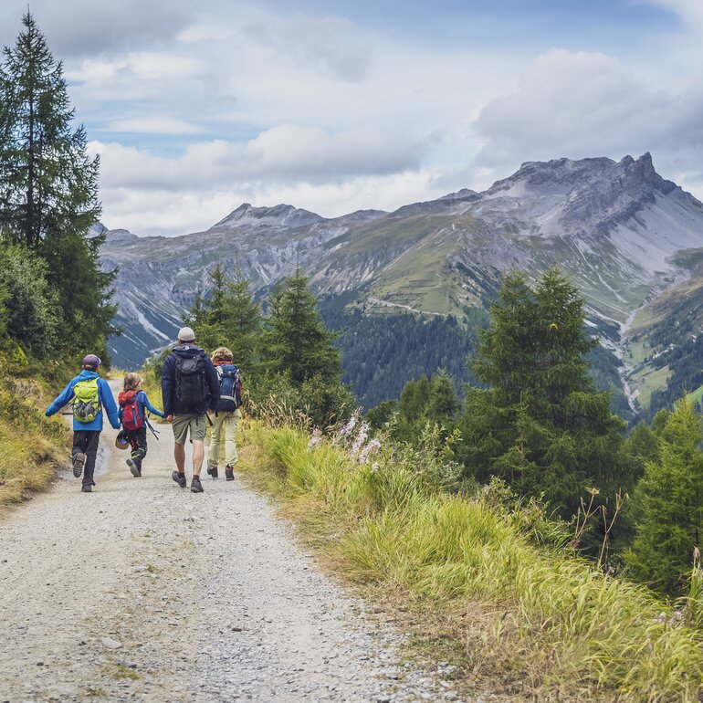 A family walks along a wide gravel path that leads past yellow meadows and green larks to the Jatzmeder at the Rinerhorn mountain station.  | © Davos Klosters Mountains