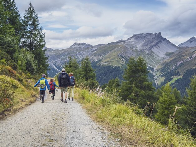 Eine Familie geht auf einem breiten Schotterweg der an gelben Wiesen und grünen Lerchen vorbei bis zum Jatzmeder bei der Bergstation Rinerhorn führt.  | © Davos Klosters Mountains