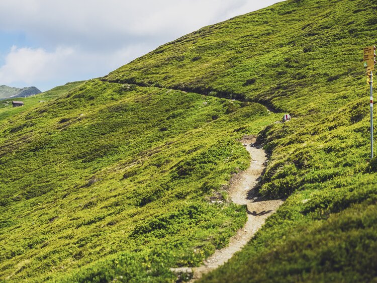 Der Wanderweg schlängelt sich den grünen Hang hinab, trifft beim gelben Wanderschild auf eine Abzweigung und führt schliesslich ins Sertigtal. | © Davos Klosters Mountains
