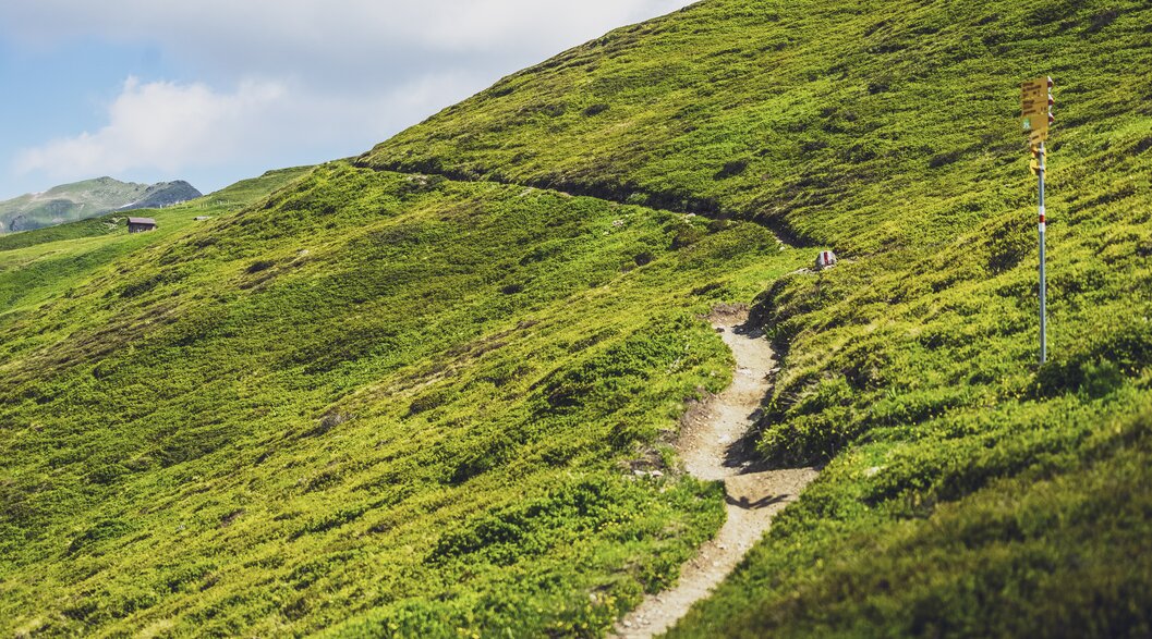 The hiking trail winds down the green slope, meets a fork at the yellow sign and finally leads into the Sertig valley. | © Davos Klosters Mountains