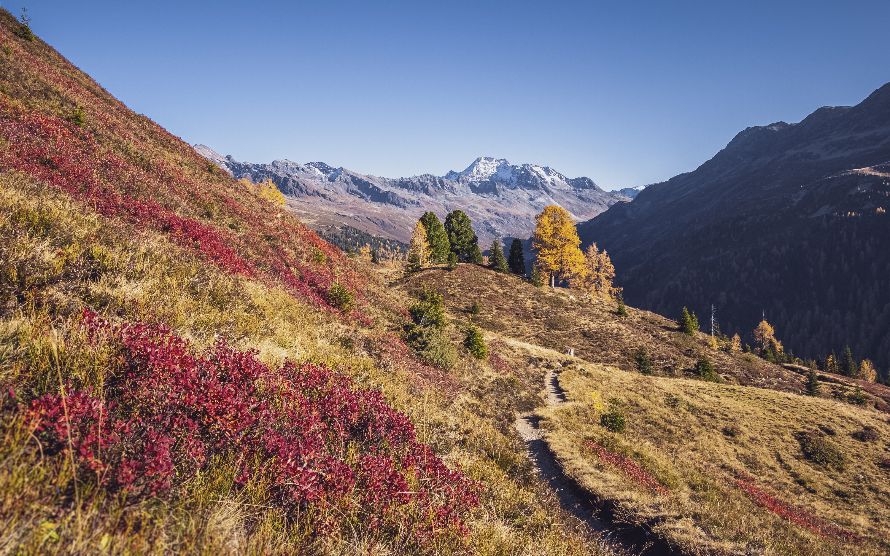 Der Wanderweg führt durch eine farbige Berglandschaft im Herbst, in der Ferne ist ein schneebedeckter Gipfel erkennbar.  | © Davos Klosters Mountains